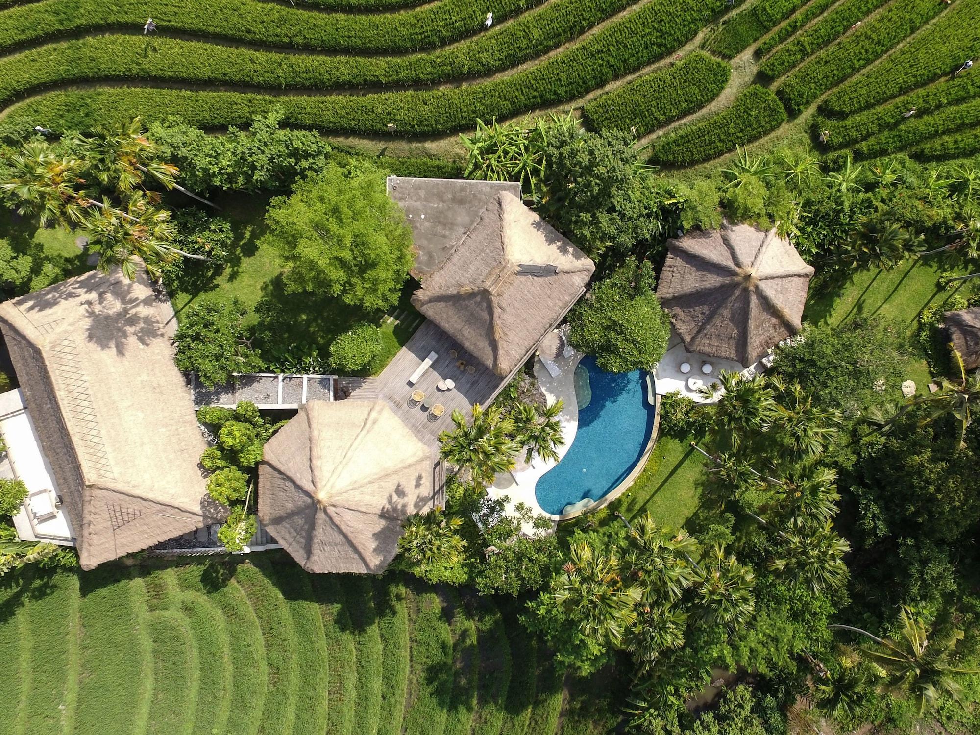 Planta Boutique Resort Canggu Exteriör bild